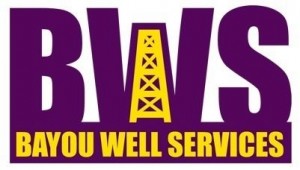 Bayou Well Services